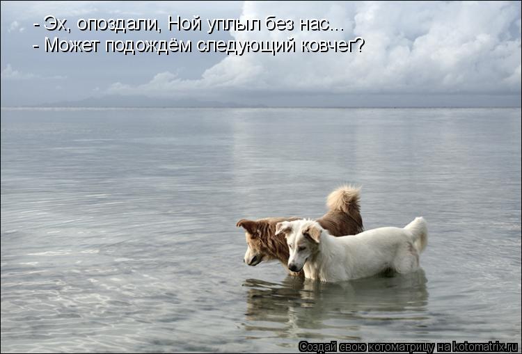 - Эх, опоздали, Ной уплыл без нас... - Может подождём следующий ковчег?... Котоматрица: - Эх, опоздали, Ной уплыл без нас... - Может подождём следующий ковчег?