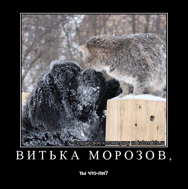 Витька Морозов, ты что-ли?... Котоматрица: Витька Морозов, ты что-ли?