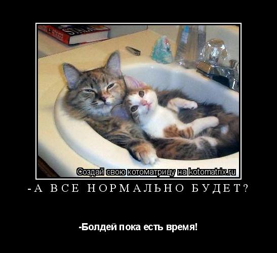 -А всё нормально будет? -Болдей пока есть время!... Котоматрица: -А всё нормально будет? -Болдей пока есть время!