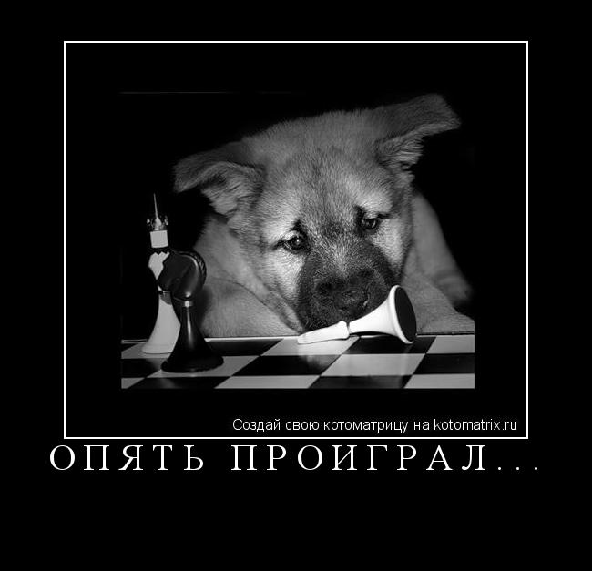 Котоматрица: опять проиграл... 