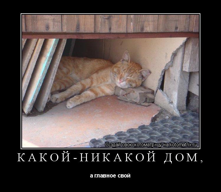 Котоматрица: какой-никакой дом,  а главное свой