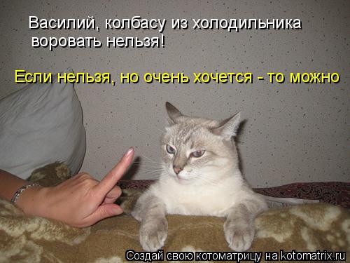 Василий, колбасу из холодильника воровать нельзя! Если нельзя, но очень хочется - то можно... Котоматрица: Василий, колбасу из холодильника воровать нельзя! Если нельзя, но очень хочется - то можно