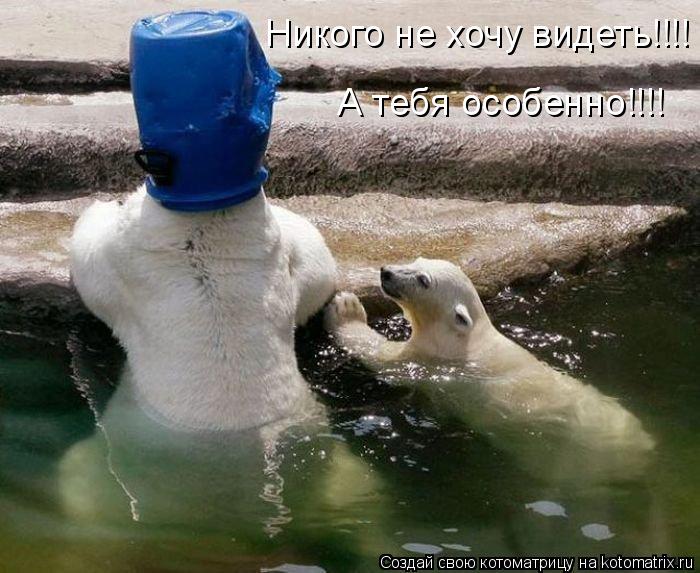 Никого не хочу видеть!!!! А тебя особенно!!!!... Котоматрица: Никого не хочу видеть!!!! А тебя особенно!!!!