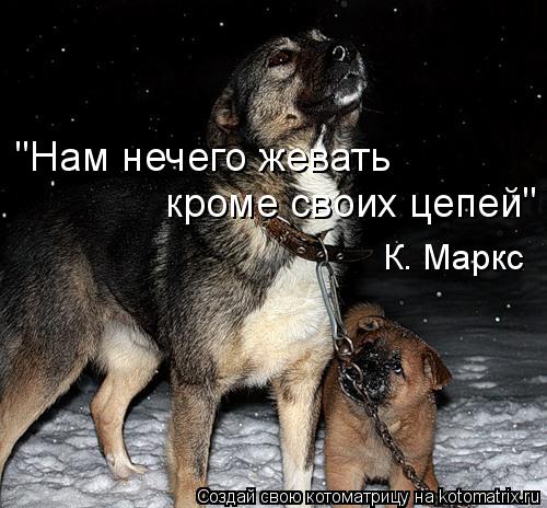 Котоматрица: "Нам нечего жевать кроме своих цепей" К. Маркс