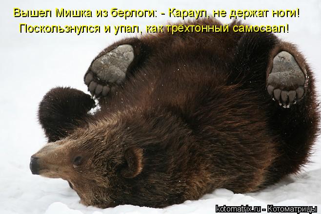 Котоматрица: Вышел Мишка из берлоги: - Караул, не держат ноги!  Поскользнулся и упал, как трёхтонный самосвал!