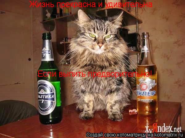 Котоматрица: Жизнь прекрасна и удивительна Жизнь прекрасна и удивительна Жизнь прекрасна и удивительна Если выпить предворительно!