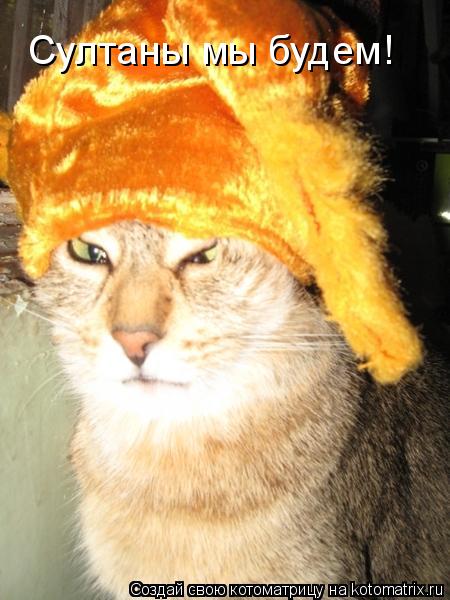 Котоматрица: Султаны мы будем!