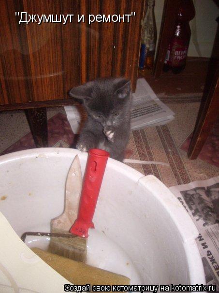 Котоматрица: "Джумшут и ремонт"