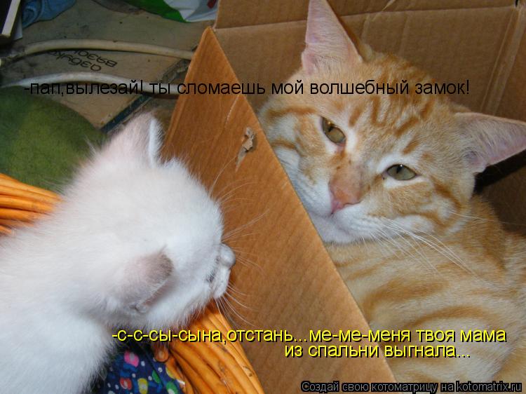 Котоматрица: -пап,вылезай! ты сломаешь мой волшебный замок! -с-с-сы-сына,отстань...ме-ме-меня твоя мама из спальни выгнала...