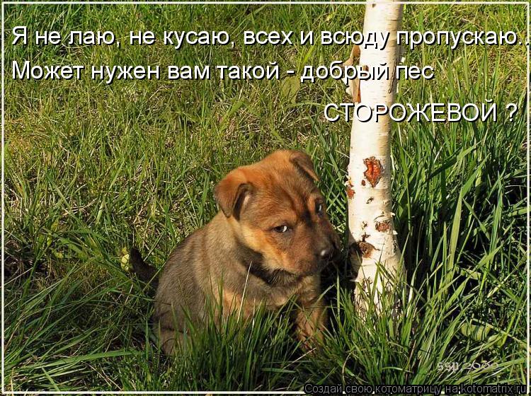Я не лаю, не кусаю, всех и всюду пропускаю... Может нужен вам такой - добрый пес СТОРОЖЕВОЙ ?... Котоматрица: Я не лаю, не кусаю, всех и всюду пропускаю... Может нужен вам такой - добрый пес СТОРОЖЕВОЙ ?