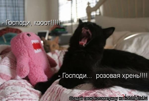 Котоматрица: - Господи, кооот!!!!! - Господи...  розовая хрень!!!!