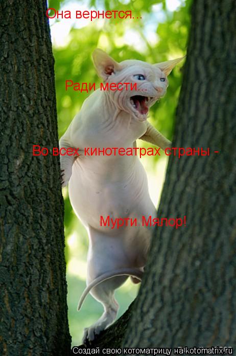 Котоматрица: Она вернется...  Во всех кинотеатрах страны -  Мурти Мялор! Ради мести...