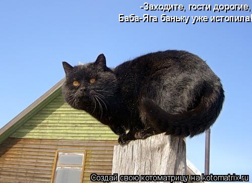 Котоматрица: -Заходите, гости дорогие,  Баба-Яга баньку уже истопила!