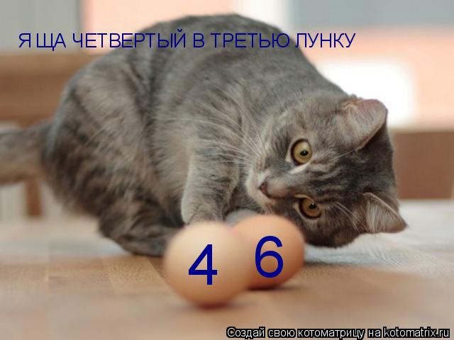 Котоматрица: Я ЩА ЧЕТВЕРТЫЙ В ТРЕТЬЮ ЛУНКУ 4 6