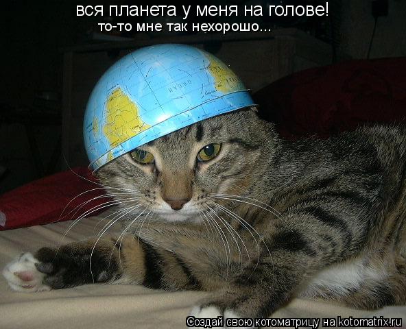 Котоматрица: вся планета у меня на голове! то-то мне так нехорошо...