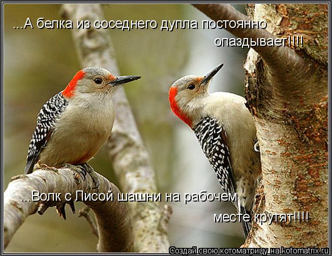 опаздывает!!!! ...Волк с Лисой шашни на рабочем месте крутят!!!! ...А белка из соседнего дупла постоя... Котоматрица: опаздывает!!!! ...Волк с Лисой шашни на рабочем месте крутят!!!! ...А белка из соседнего дупла постоянно