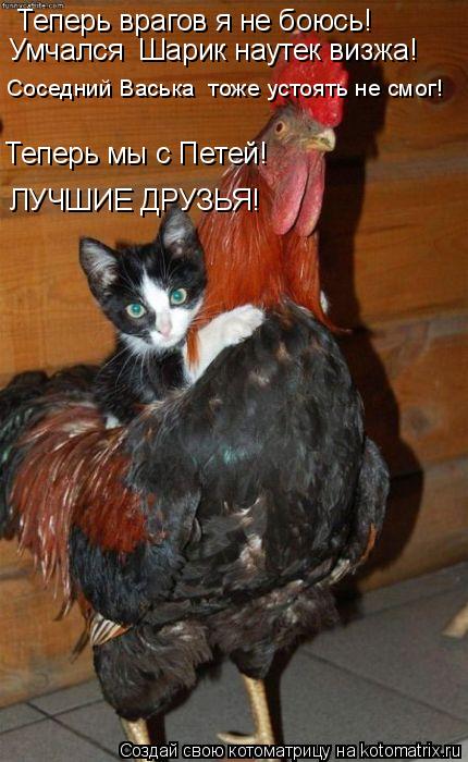 Котоматрица: Теперь врагов я не боюсь! Соседний Васька  тоже устоять не смог! Умчался  Шарик наутек визжа! Теперь мы с Петей! ЛУЧШИЕ ДРУЗЬЯ!