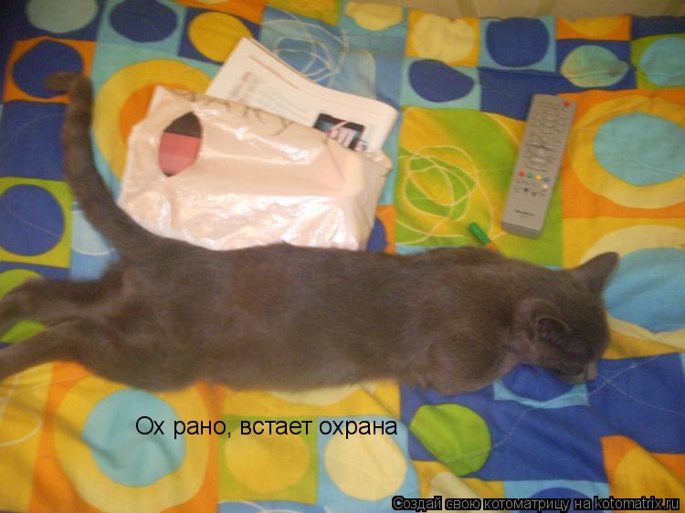 Котоматрица: Ох рано, встает охрана