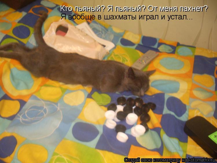 Котоматрица: Кто пьяный? Я пьяный? От меня пахнет? Я вообще в шахматы играл и устал...