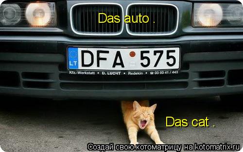 Котоматрица: Das auto . Das cat .