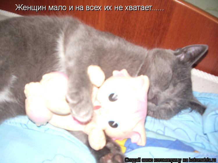 Котоматрица: Женщин мало и на всех их не хватает......