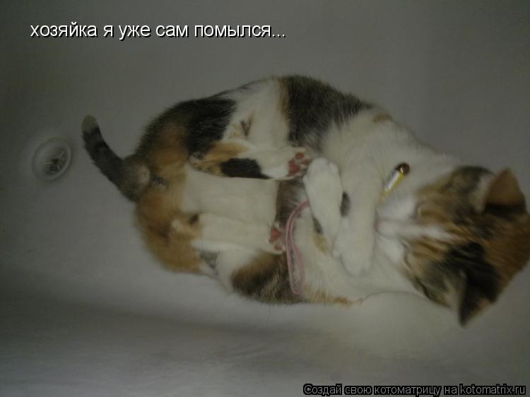 Котоматрица: хозяйка я уже сам помылся...