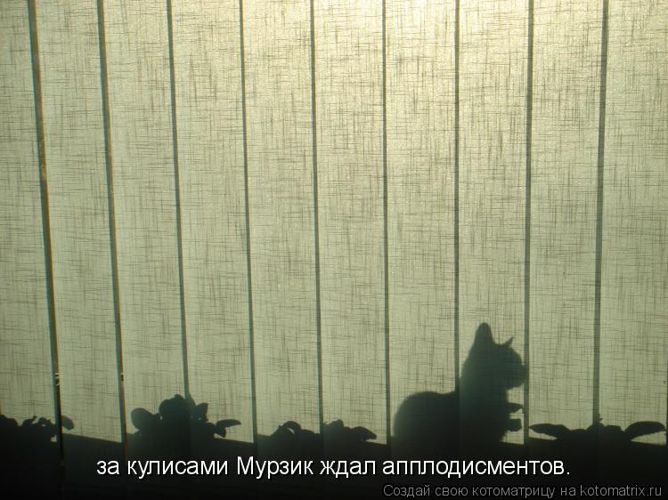 Котоматрица: за кулисами Мурзик ждал апплодисментов.