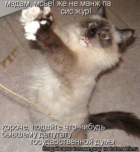 Котоматрица: мадам, мсье! же не манж па сис жур! короче, подайте что-нибудь бывшему депутату  государственной думы