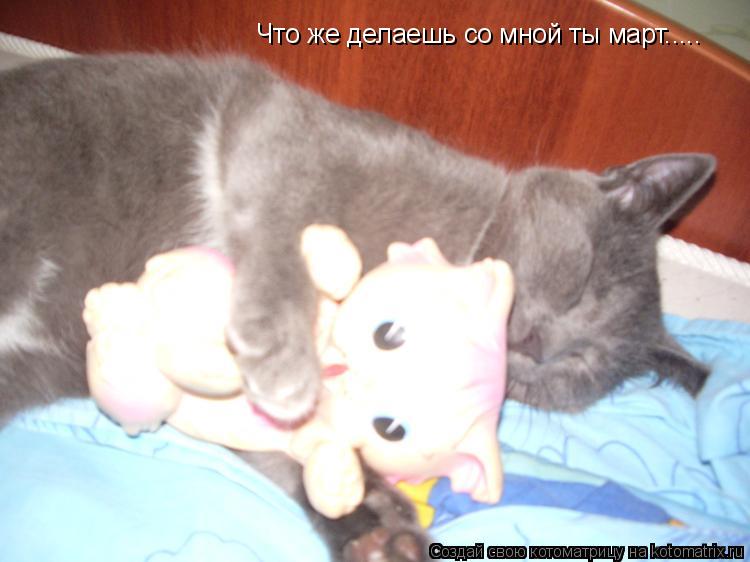 Котоматрица: Что же делаешь со мной ты март.....