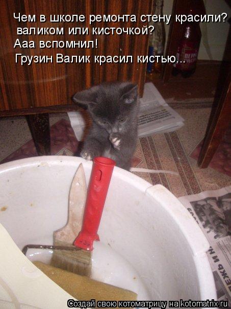 Котоматрица: Чем в школе ремонта стену красили? валиком или кисточкой? Ааа вспомнил! Грузин Валик красил кистью...