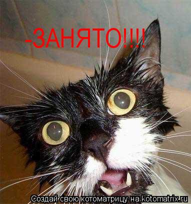 Котоматрица: -ЗАНЯТО!!!!