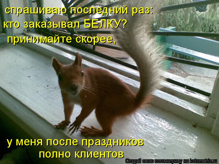 спрашиваю последний раз: принимайте скорее, кто заказывал БЕЛКУ? у меня после праздников полно клиент... Котоматрица: спрашиваю последний раз: принимайте скорее, кто заказывал БЕЛКУ? у меня после праздников полно клиентов