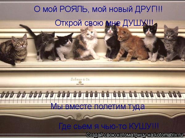 Котоматрица: О мой РОЯЛЬ, мой новый ДРУГ!!! Открой свою мне ДУШУ!!! Мы вместе полетим туда Где сьем я чью-то КУШУ!!!