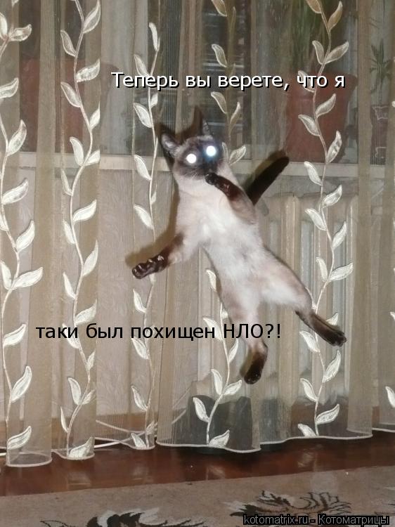 Котоматрица: Теперь вы верете, что я таки был похищен НЛО?!
