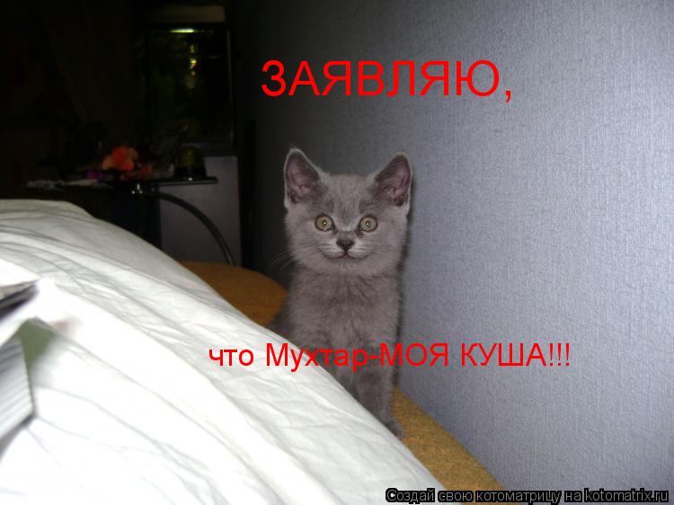 Котоматрица: ЗАЯВЛЯЮ,  что Мухтар-МОЯ КУША!!!