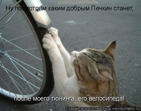 Котоматрица: Ну посмотрим каким добрым Печкин станет, после моего тюнинга, его велосипеда!