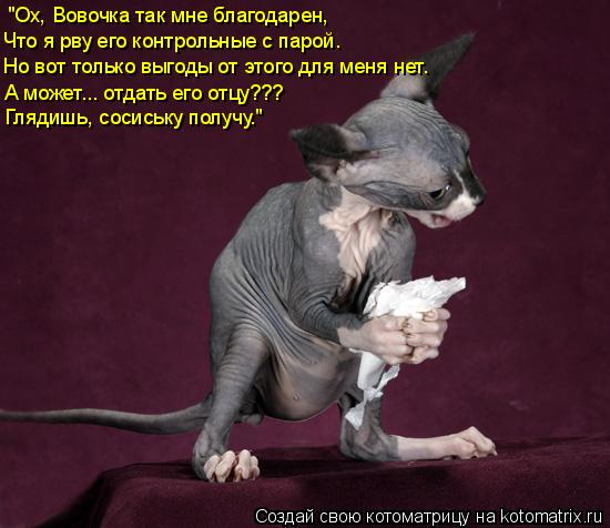 Котоматрица: "Ох, Вовочка так мне благодарен, Что я рву его контрольные с парой. А может... отдать его отцу??? Но вот только выгоды от этого для меня нет. Гляд