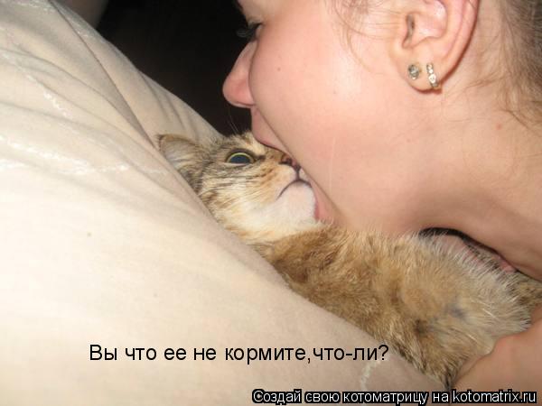 Котоматрица: Вы что ее не кормите,что-ли?
