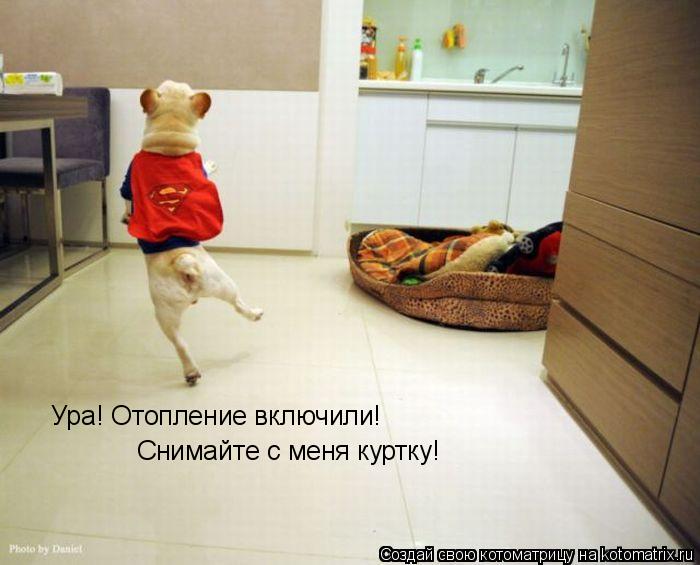 Котоматрица: Ура! Отопление включили! Снимайте с меня куртку!