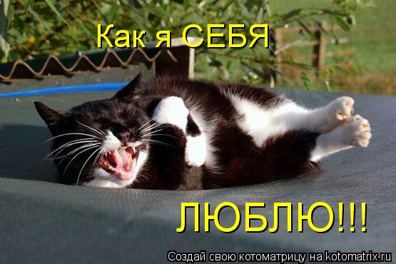 Котоматрица: Как я СЕБЯ ЛЮБЛЮ!!!