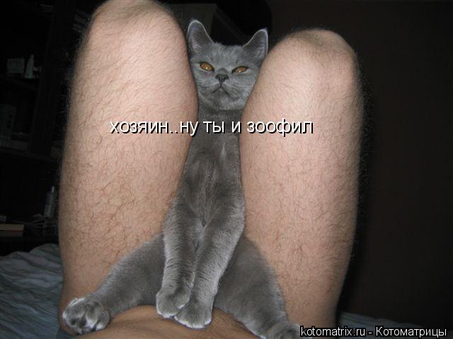 хозяин..ну ты и зоофил... Котоматрица: хозяин..ну ты и зоофил