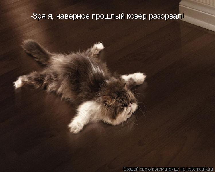 -Зря я, наверное прошлый ковёр разорвал!... Котоматрица: -Зря я, наверное прошлый ковёр разорвал!