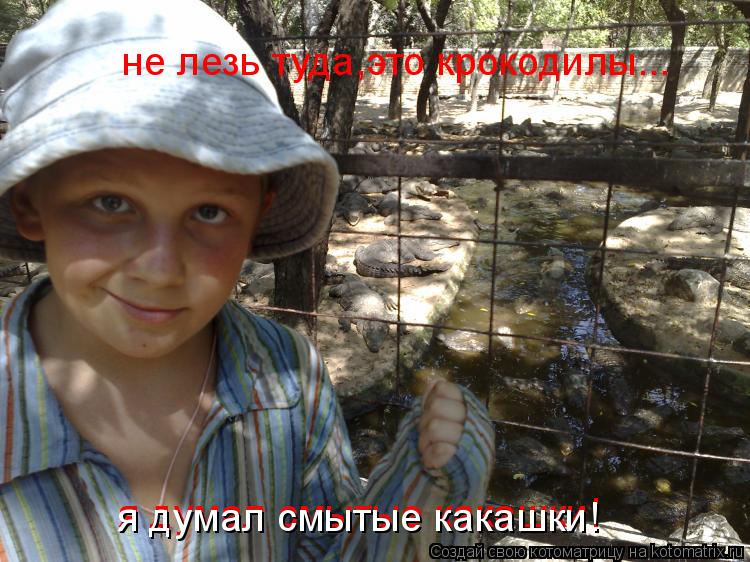 не лезь туда,это крокодилы... я думал смытые какашки! я думал смытые какашки!... Котоматрица: не лезь туда,это крокодилы... я думал смытые какашки! я думал смытые какашки!