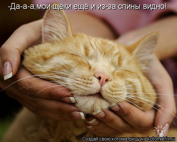 -Да-а-а,мои щёки ещё и из-за спины видно!... Котоматрица: -Да-а-а,мои щёки ещё и из-за спины видно!