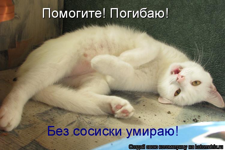 Помогите! Погибаю! Без сосиски умираю!... Котоматрица: Помогите! Погибаю! Без сосиски умираю!