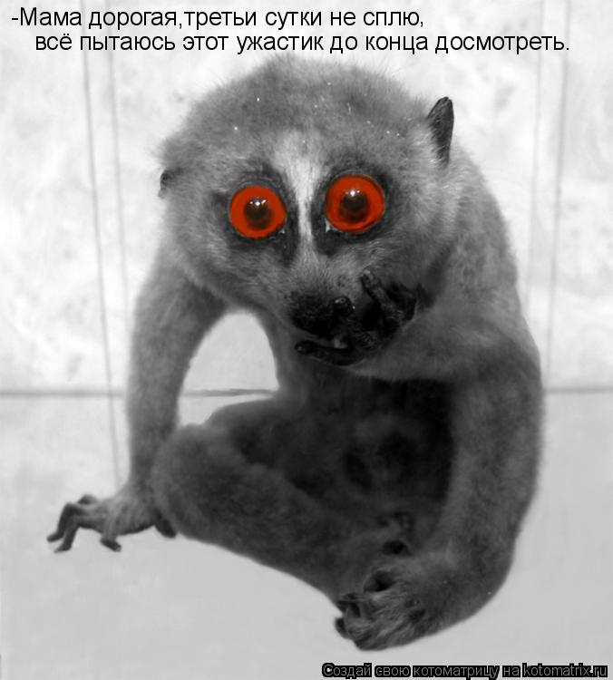 Котоматрица: -Мама дорогая,третьи сутки не сплю , всё пытаюсь этот ужастик до конца досмотреть.