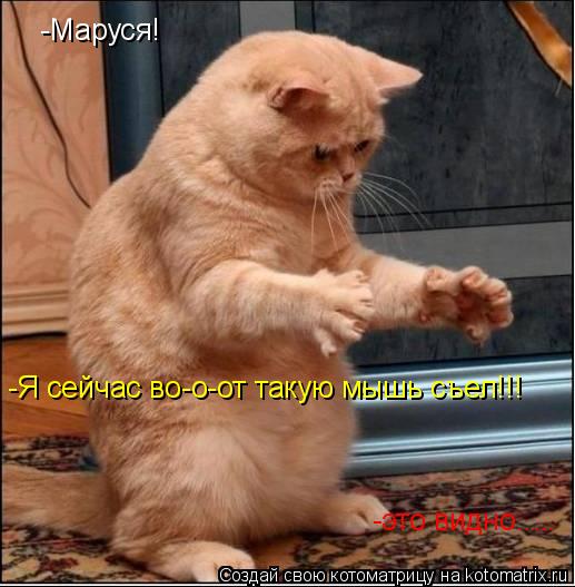 Котоматрица: -Маруся! -Я сейчас во-о-от такую мышь съел!!! -это видно.....