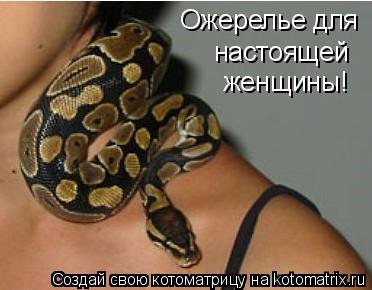 Котоматрица: Ожерелье для настоящей женщины!