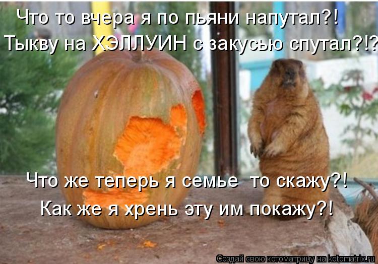 Котоматрица: Что то вчера я по пьяни напутал?! Тыкву на ХЭЛЛУИН с закусью спутал?!?! Что же теперь я семье  то скажу?! Как же я хрень эту им покажу?!