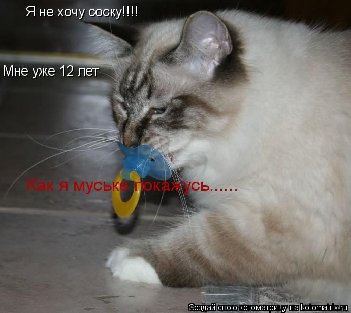 Котоматрица: Я не хочу соску!!!! Мне уже 12 лет Как я муське покажусь......